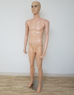 Mannequin - Male